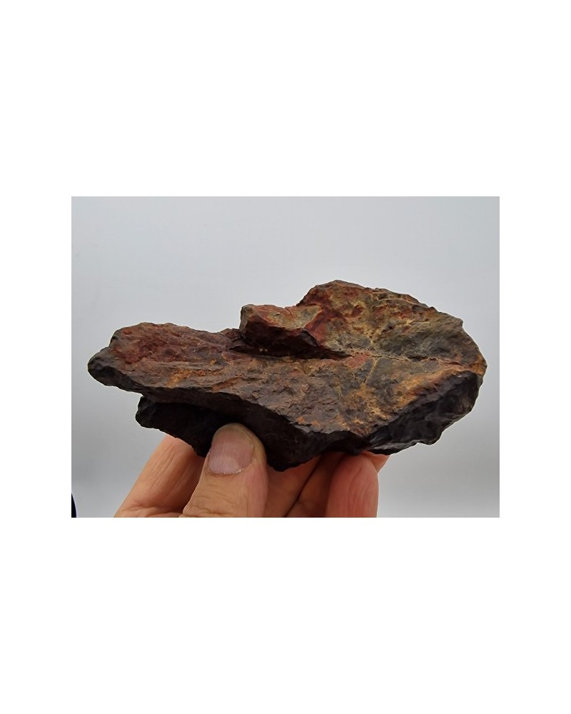 Meteorit Steinmeteorit