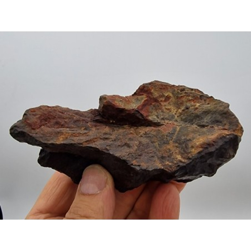 Meteorit Steinmeteorit