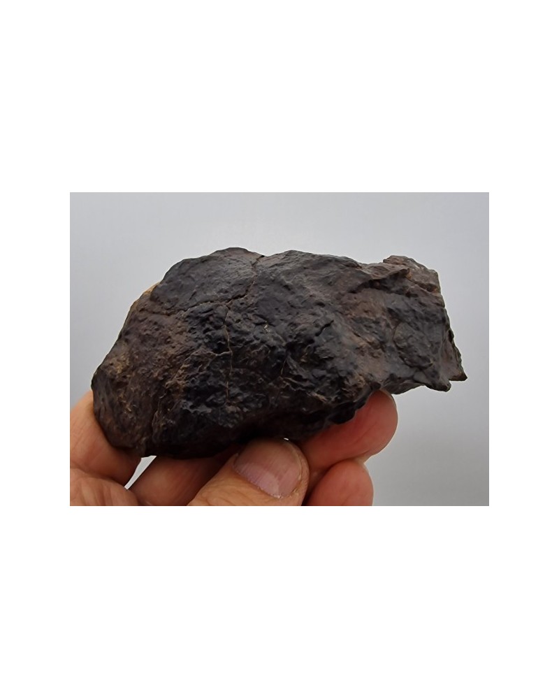 Meteorit Steinmeteorit