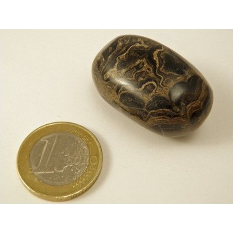 Stromatolith