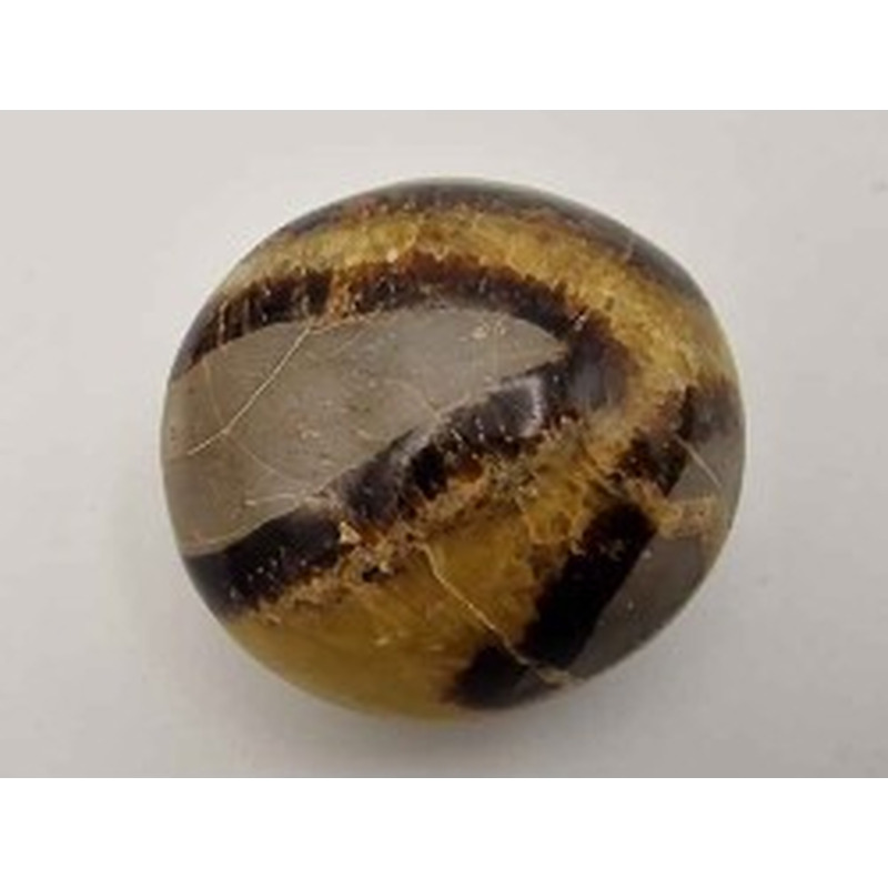 Septarie