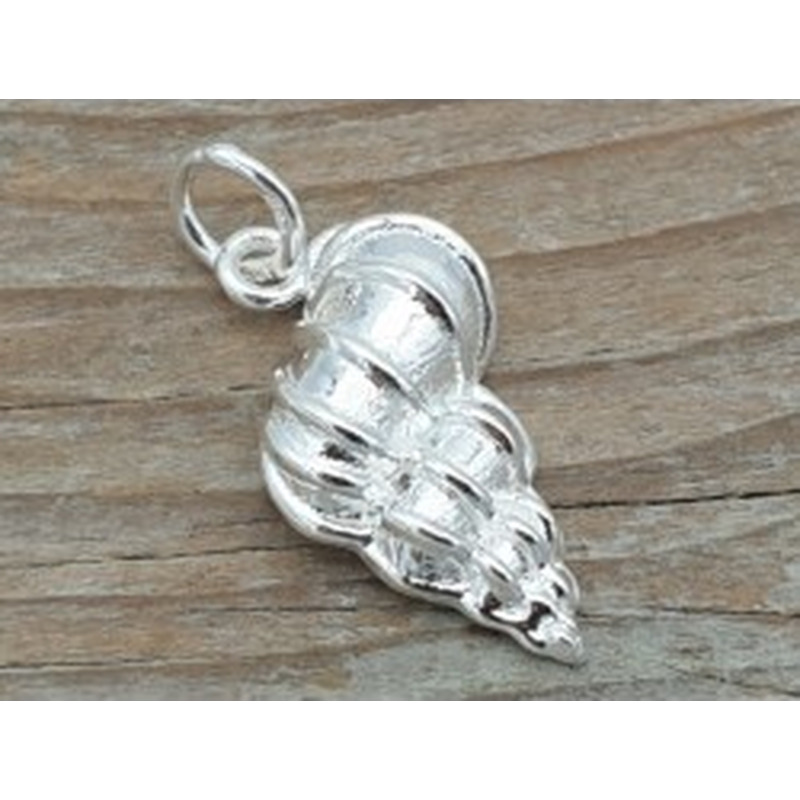 Charm Schnecke 25mm, 925 Silber