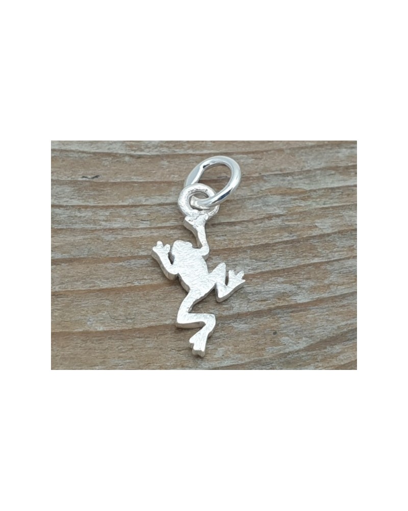 Charm Frosch 21mm, 925 Silber