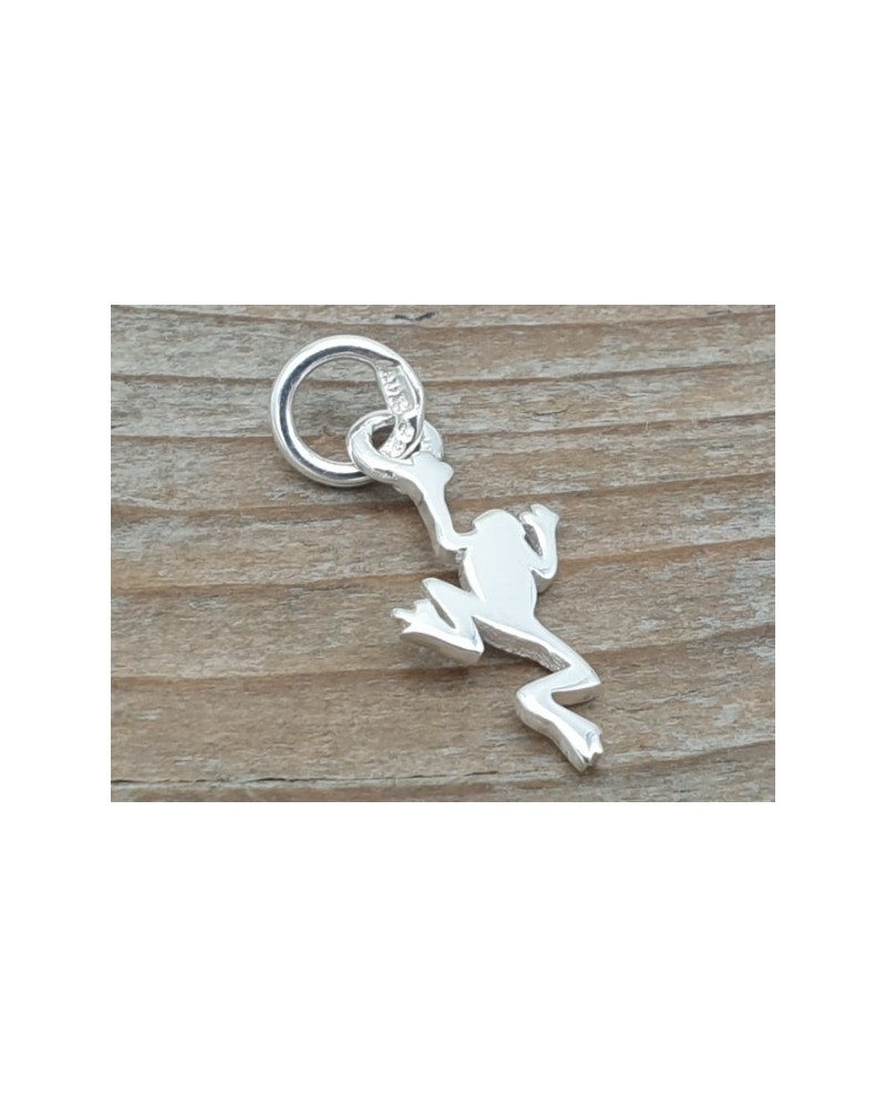 Charm Frosch 21mm, 925 Silber