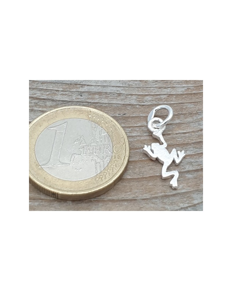 Charm Frosch 21mm, 925 Silber