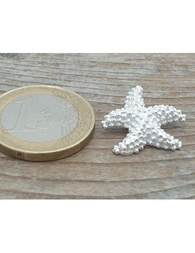 Seestern Anhänger 18mm, 925 Silber