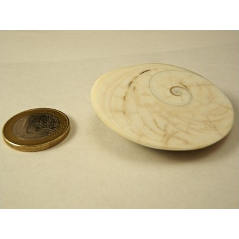 Shiva Eye XL