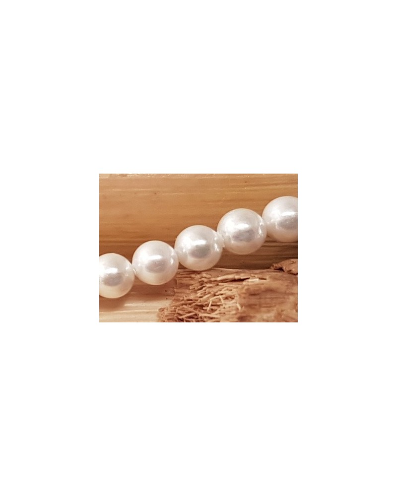 Shellperle 2mm