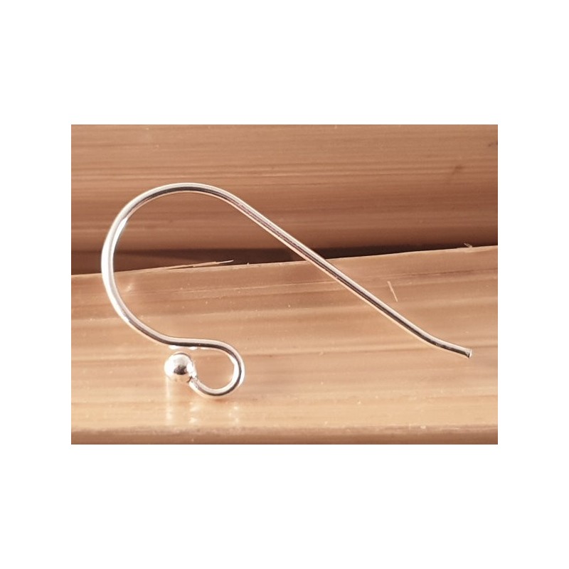 2 Stk. Ohrhaken 10mm, 925 Silber