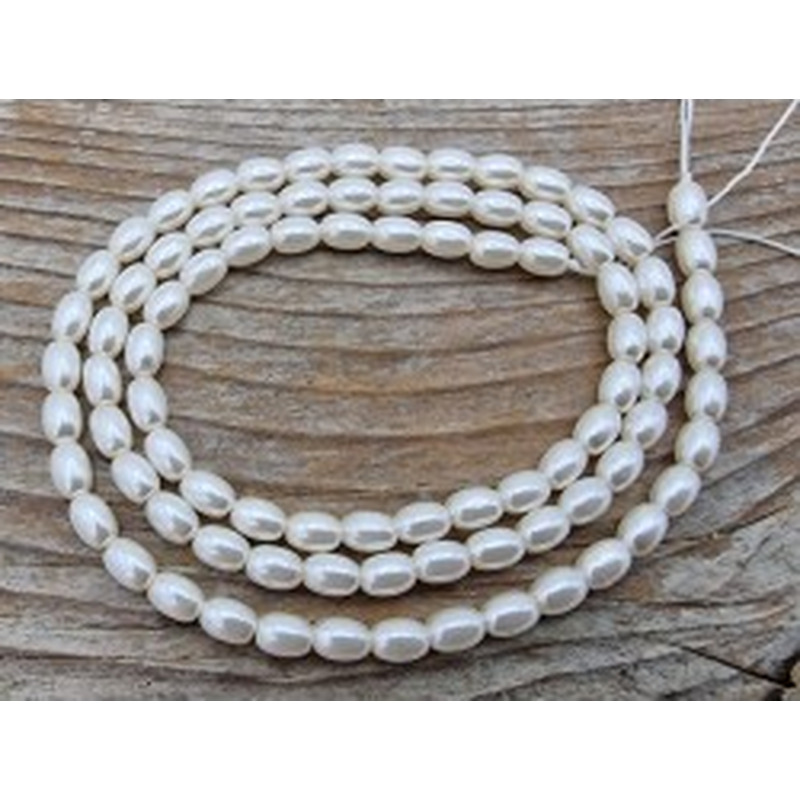 Shellperle 3x4mm 2