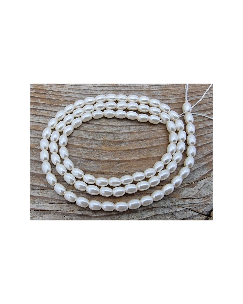 Shellperle 3x4mm