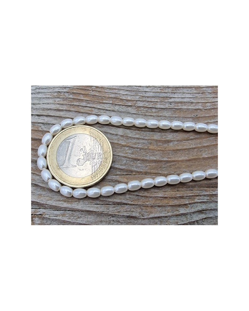 Shellperle 3x4mm
