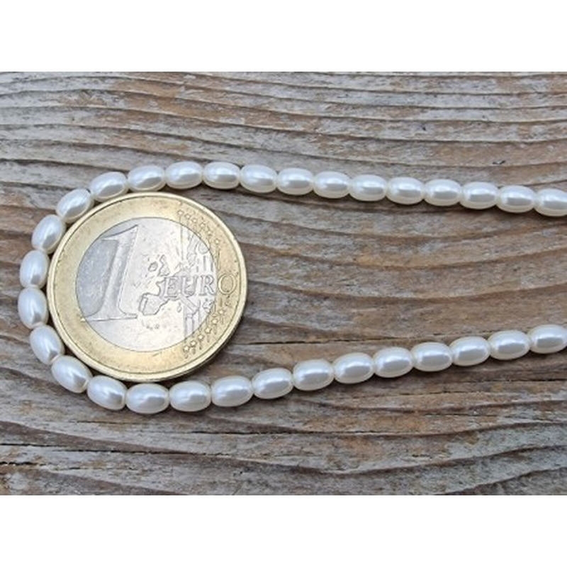 Shellperle 3x4mm