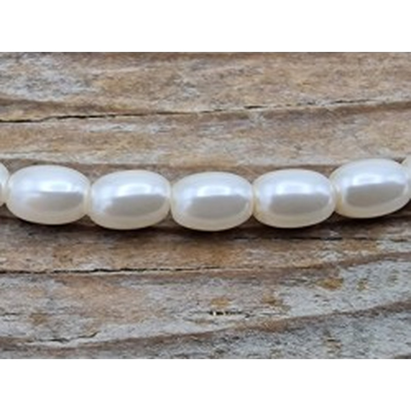 Shellperle 3x4mm