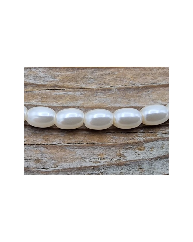 Shellperle 3x4mm