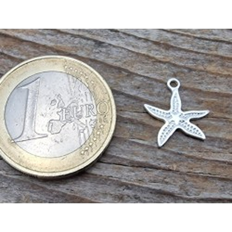 Charm Seestern 12x13mm, 925 Silber 2