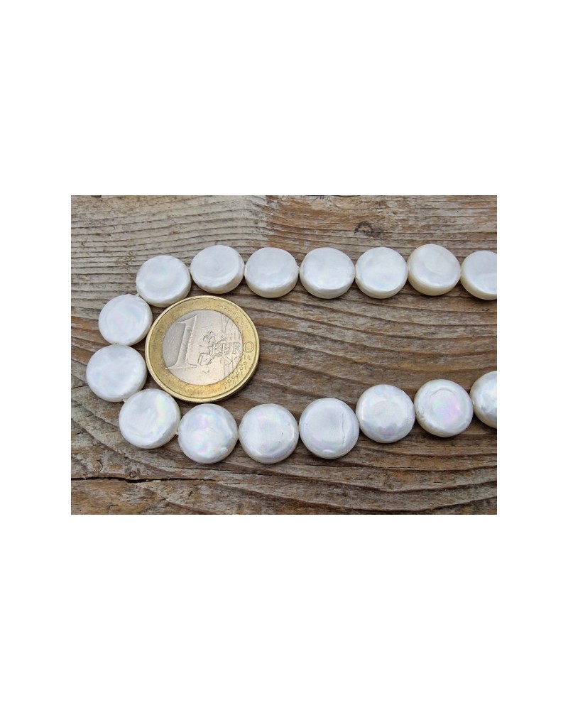 Shellperle Coin 11mm