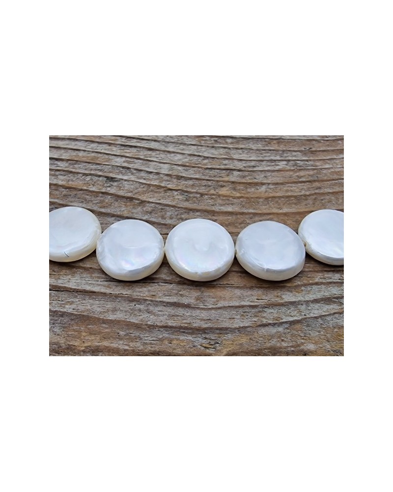 Shellperle Coin 11mm