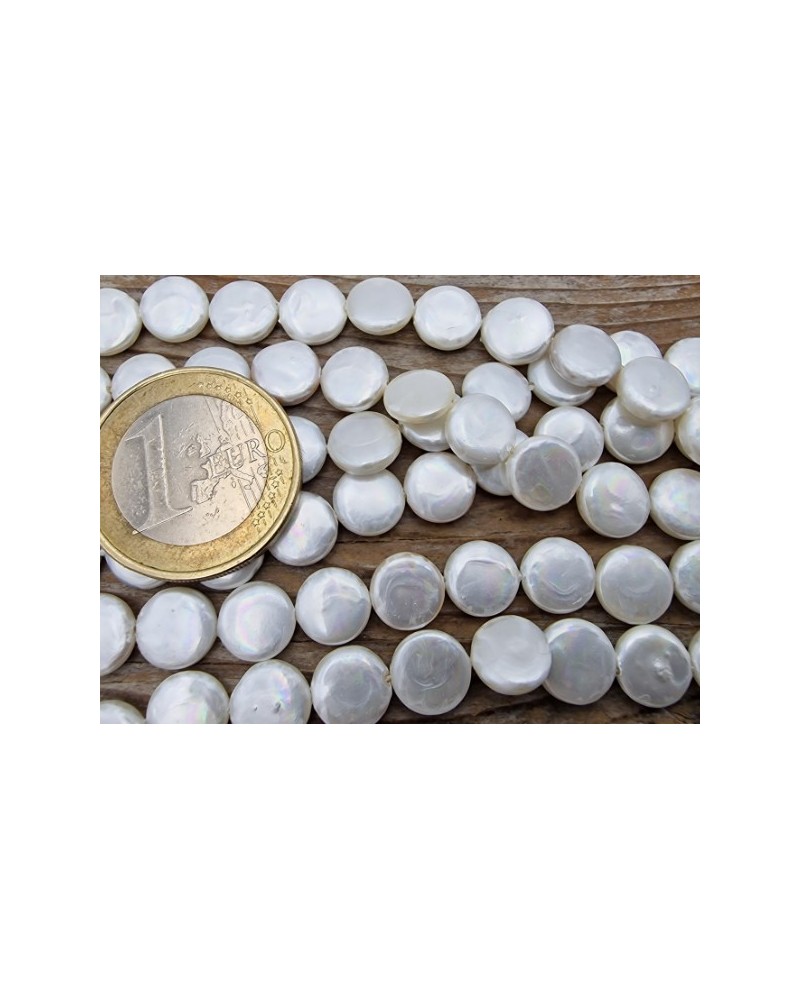 Shellperle Coin 8mm
