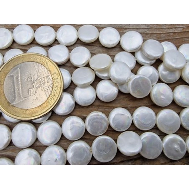 Shellperle Coin 8mm