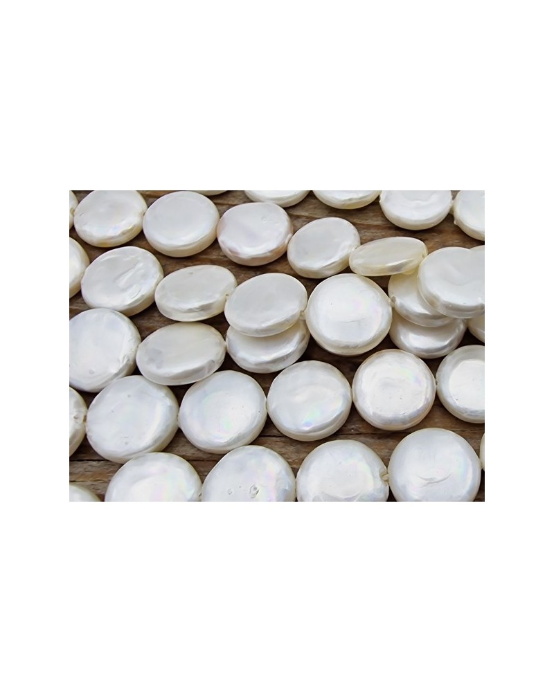 Shellperle Coin 8mm