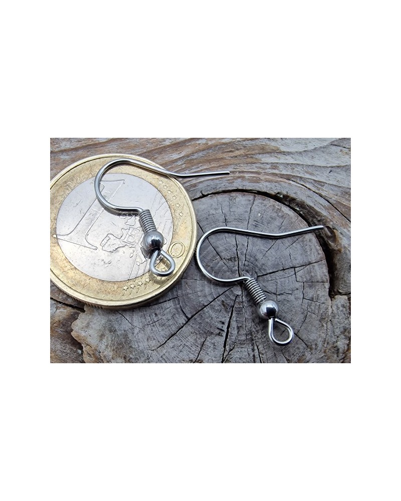 Ohrhaken 19mm (2 Stk), Edelstahl