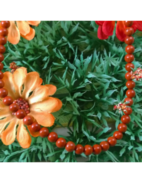 roter Jaspis Kette 3mm