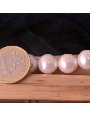 Shellperle 12mm