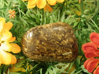 bronzite tumbled stone