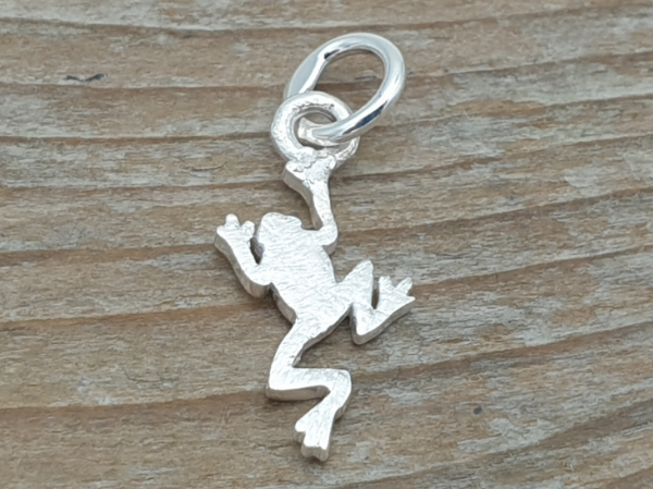 charm frog 21mm, silver