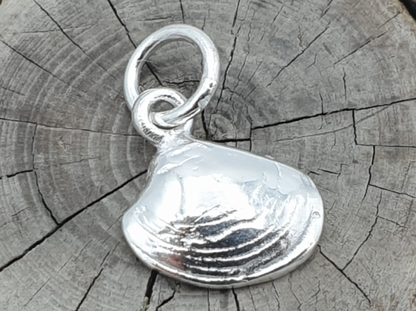 Charm Muschel 16mm, Silber