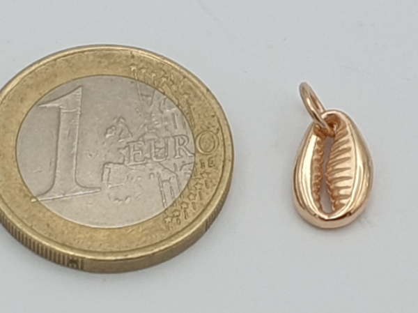 cowrie 11mm, silver gold plated