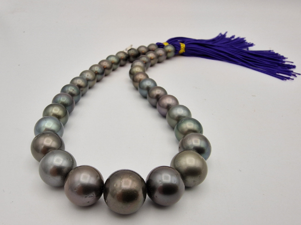 tahitipearl necklace strand 12-14.5mm